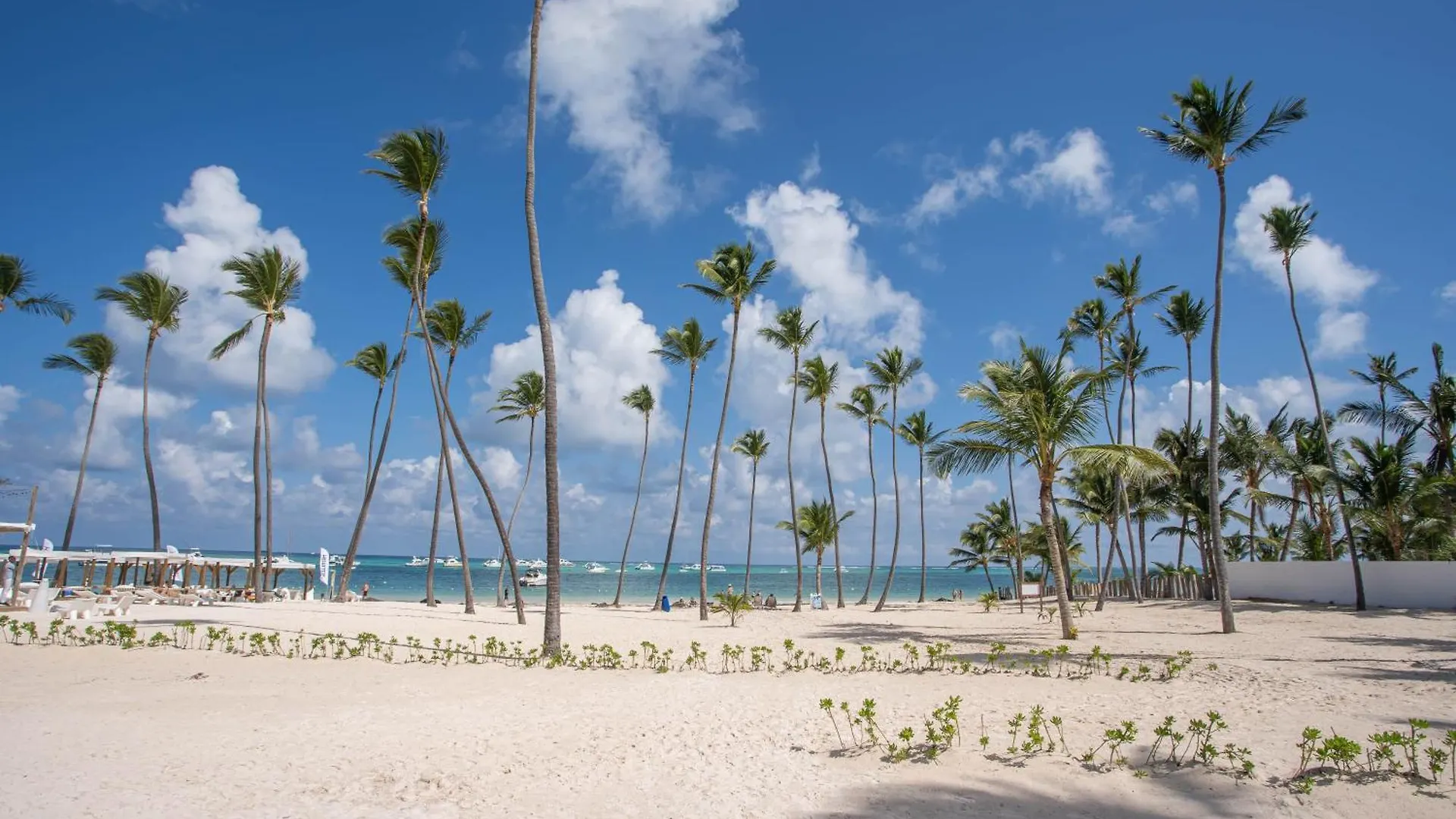 Xeliter Playa Coral, Bavaro Punta Cana 0*,  Dominikanische Republik