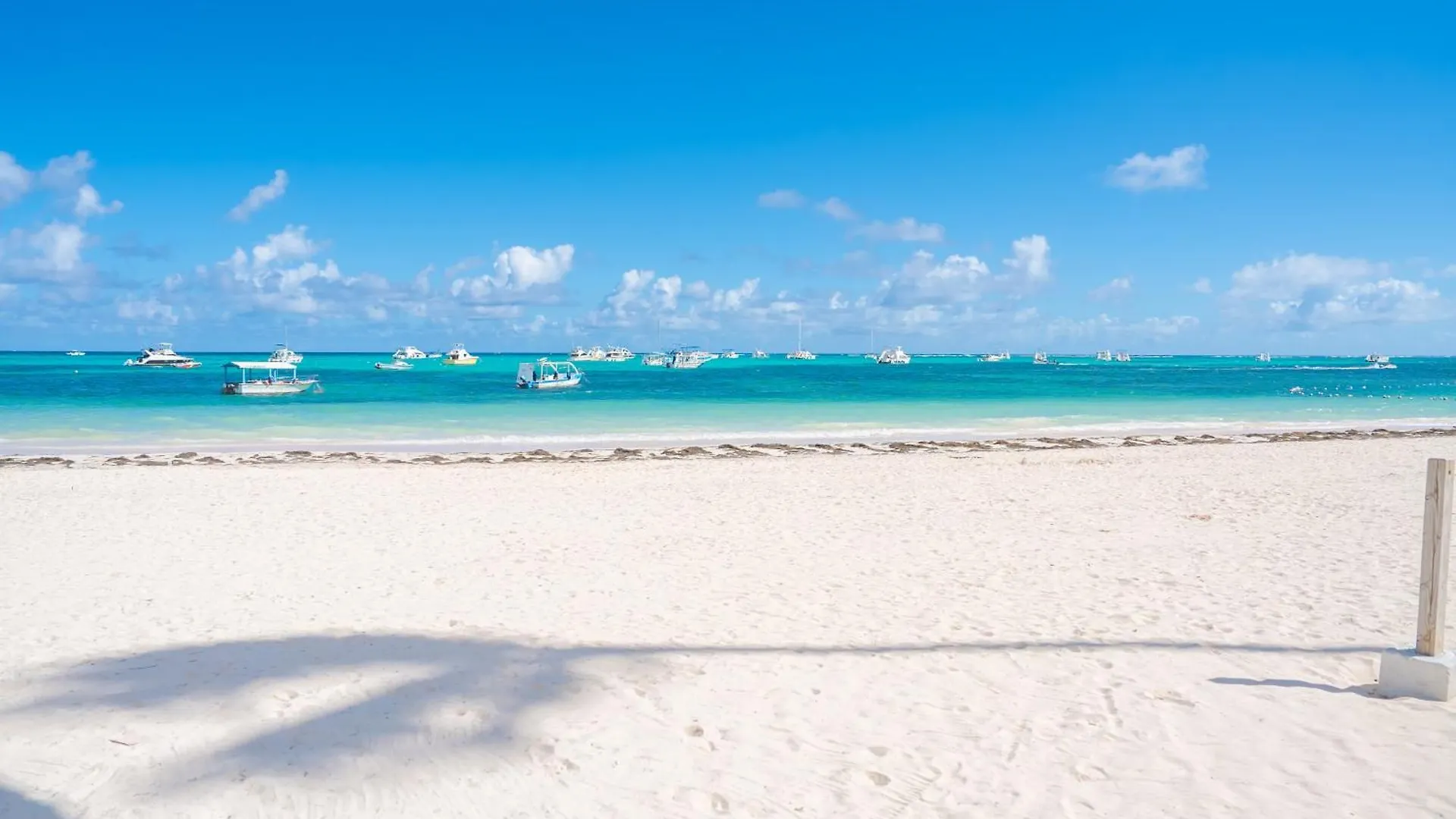 Xeliter Playa Coral, Bavaro Punta Cana